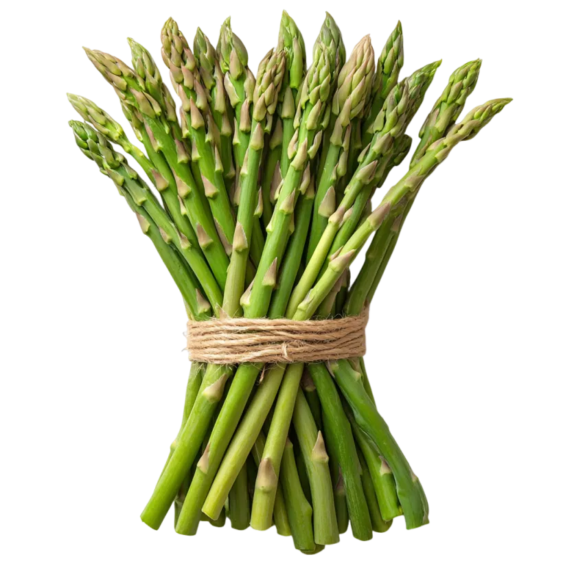 <p>ESPÁRRAGO VERDE ECOLÓGICO</p>
